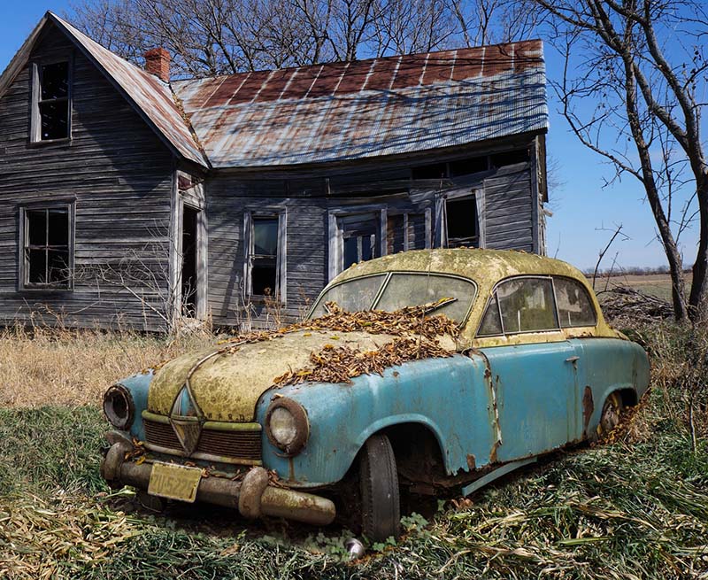 scrap car coved with leaves