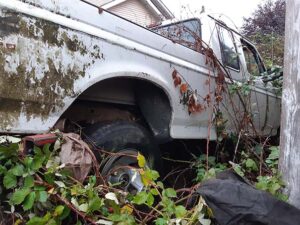 Ford F150 in bushes